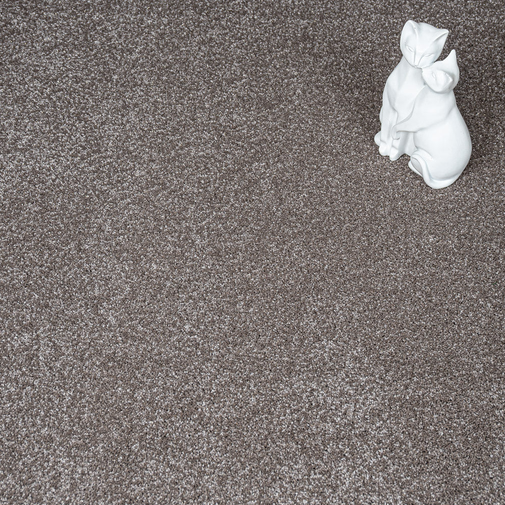 Caramel Brown 40 Centaurus Invictus Carpet