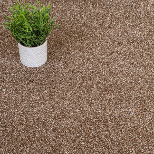 Caramel Catalonia Saxony Carpet