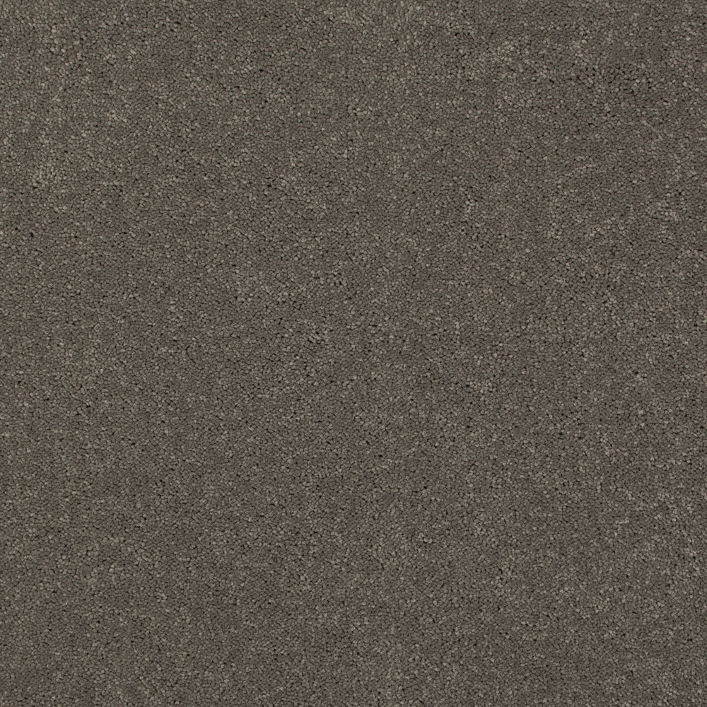 Carbon 79 Ultimate Twist Intenza Carpet - Image 4
