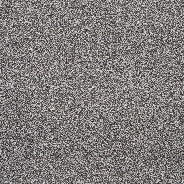 Carbon Florence Saxony Carpet Clearance - Image 2