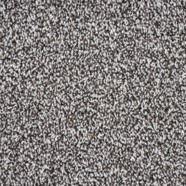 Carbon Florence Saxony Carpet Clearance - Image 3