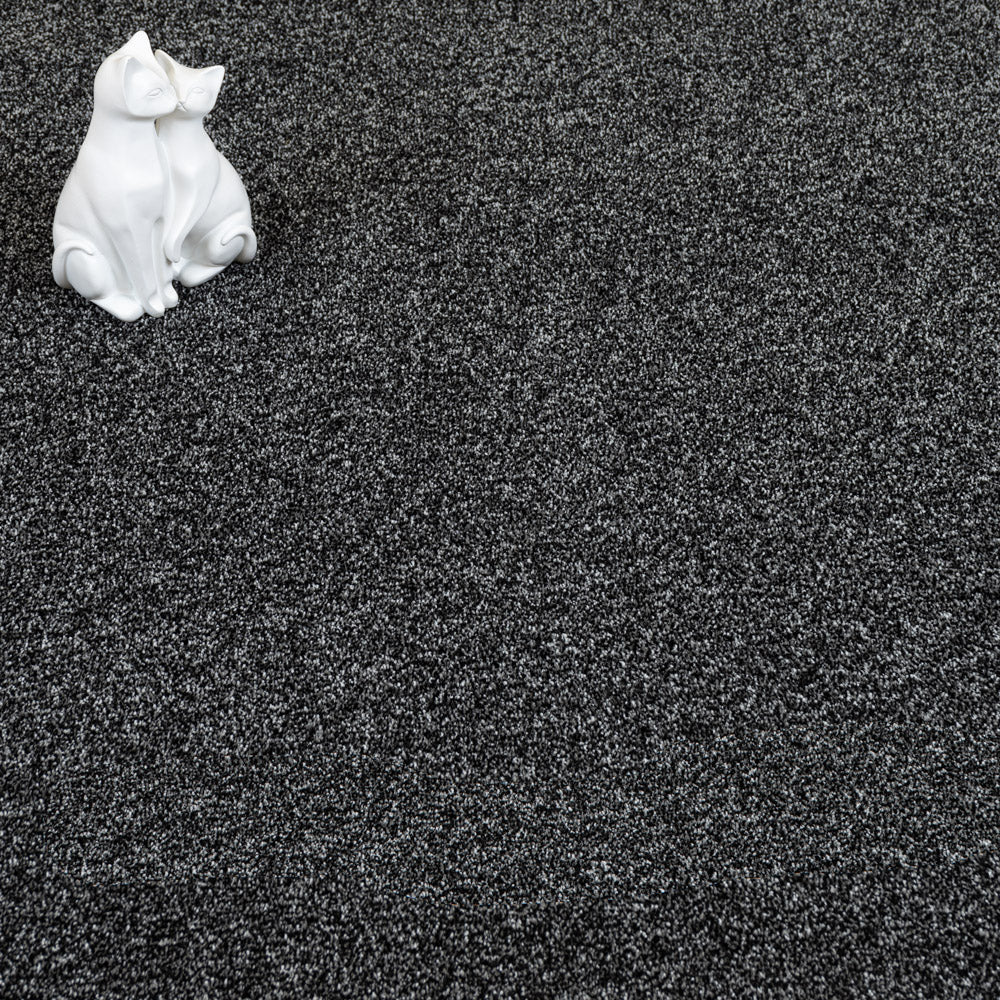 Carbon Grey Polaris Luxury Saxony Carpet