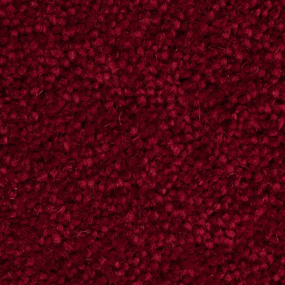 Cardinal 50oz Home Counties Carpet by Cormar - Image 2