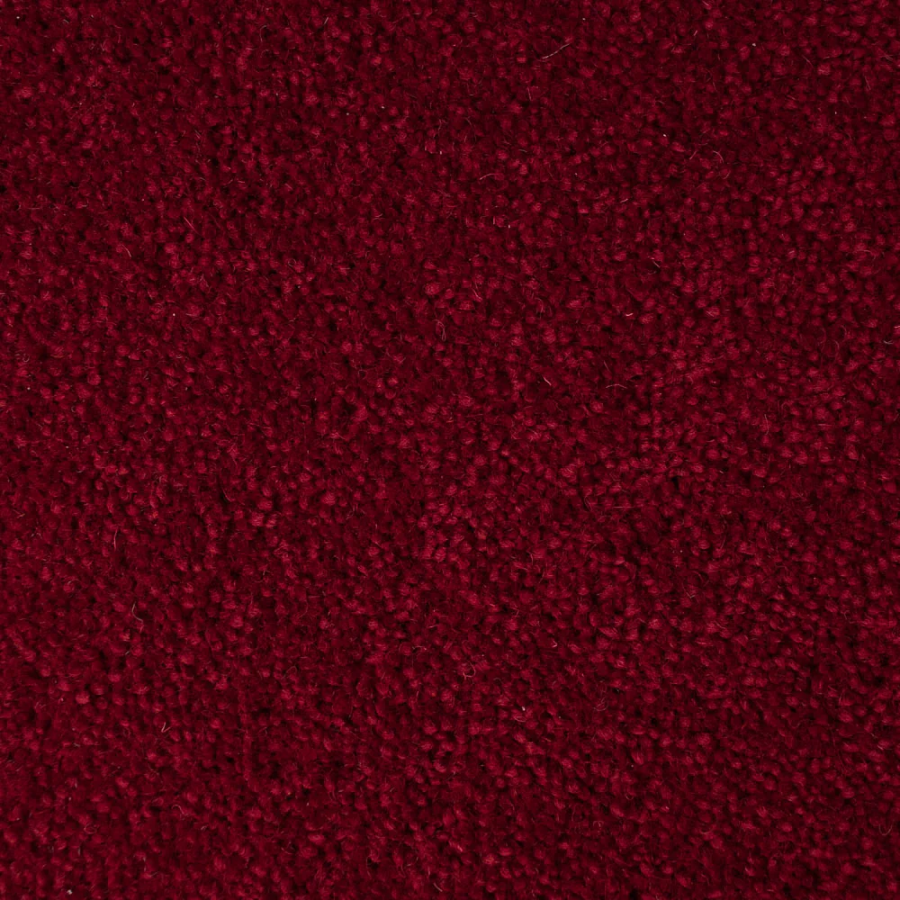 Cardinal 50oz Home Counties Carpet by Cormar - Image 5