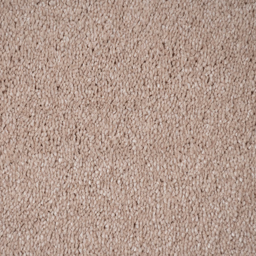 Carnation 38 Orion 50oz Invictus Carpet - Image 3