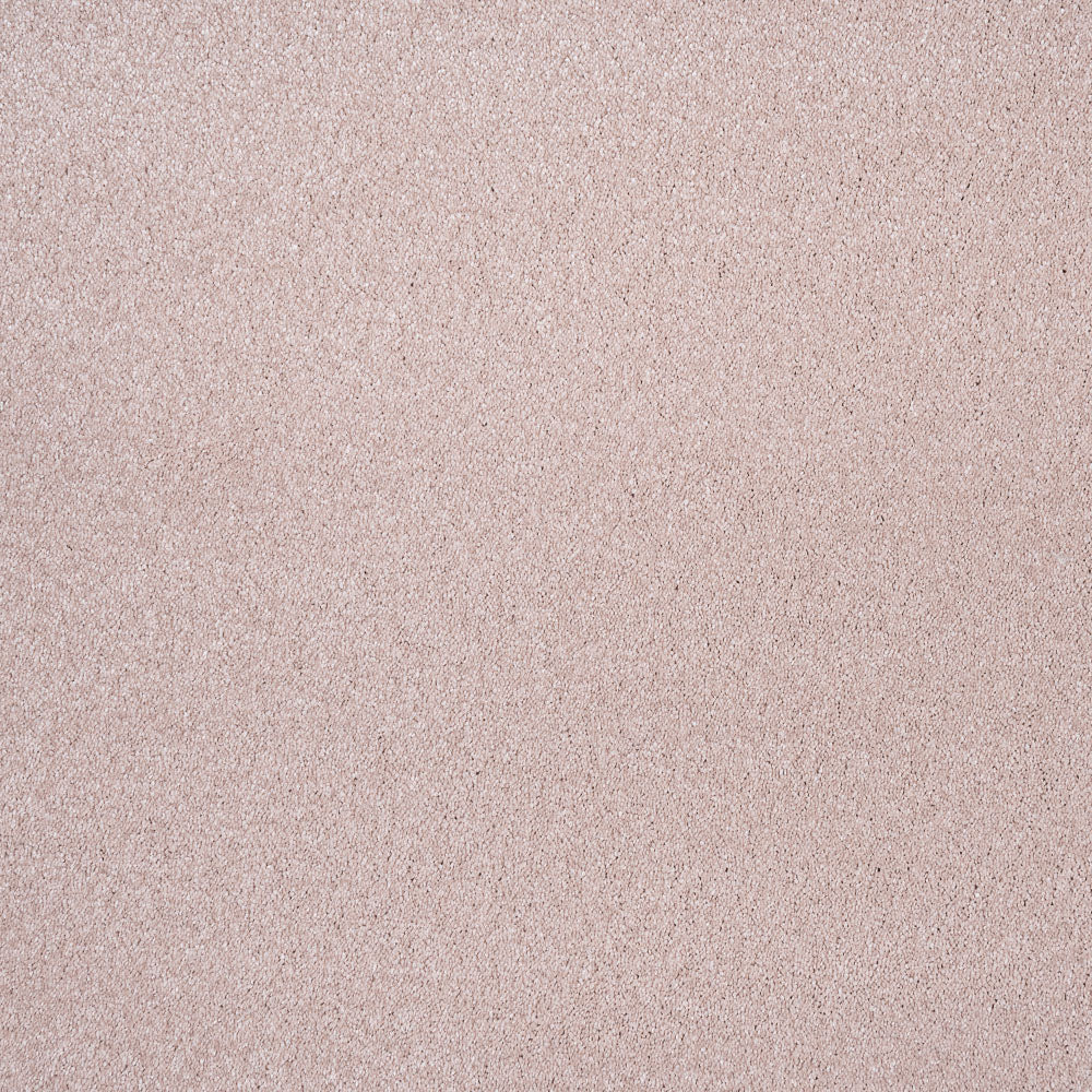 Carnation 38 Sirius 70oz Invictus Carpet - Image 2