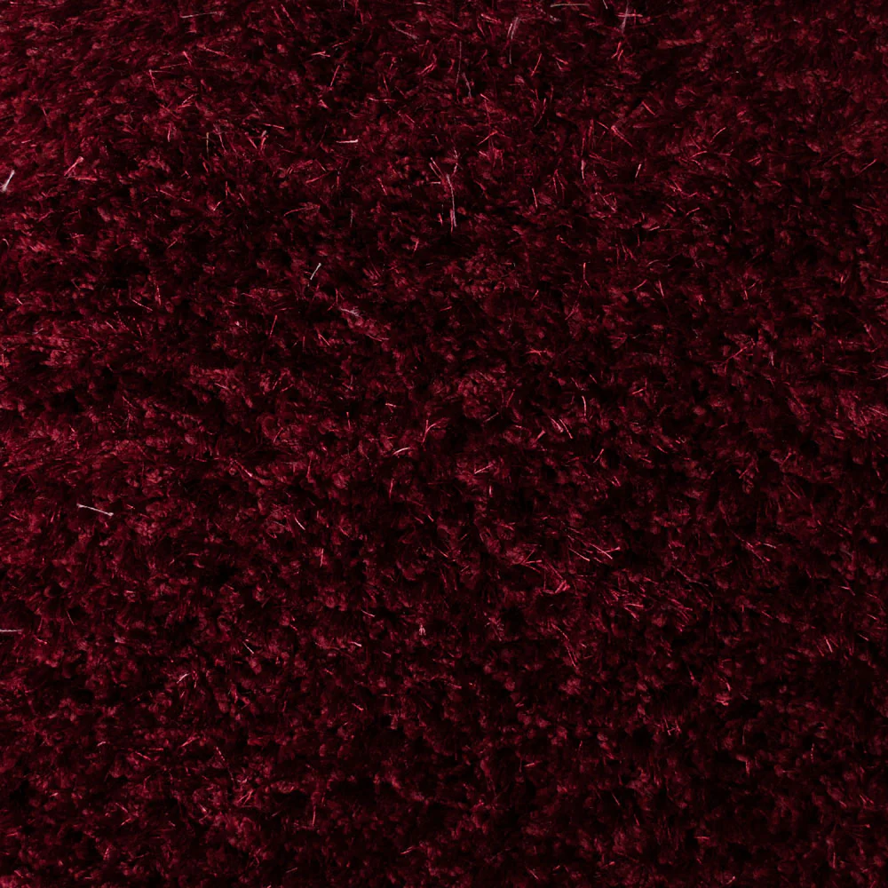 Carnival Carpet - Image 3
