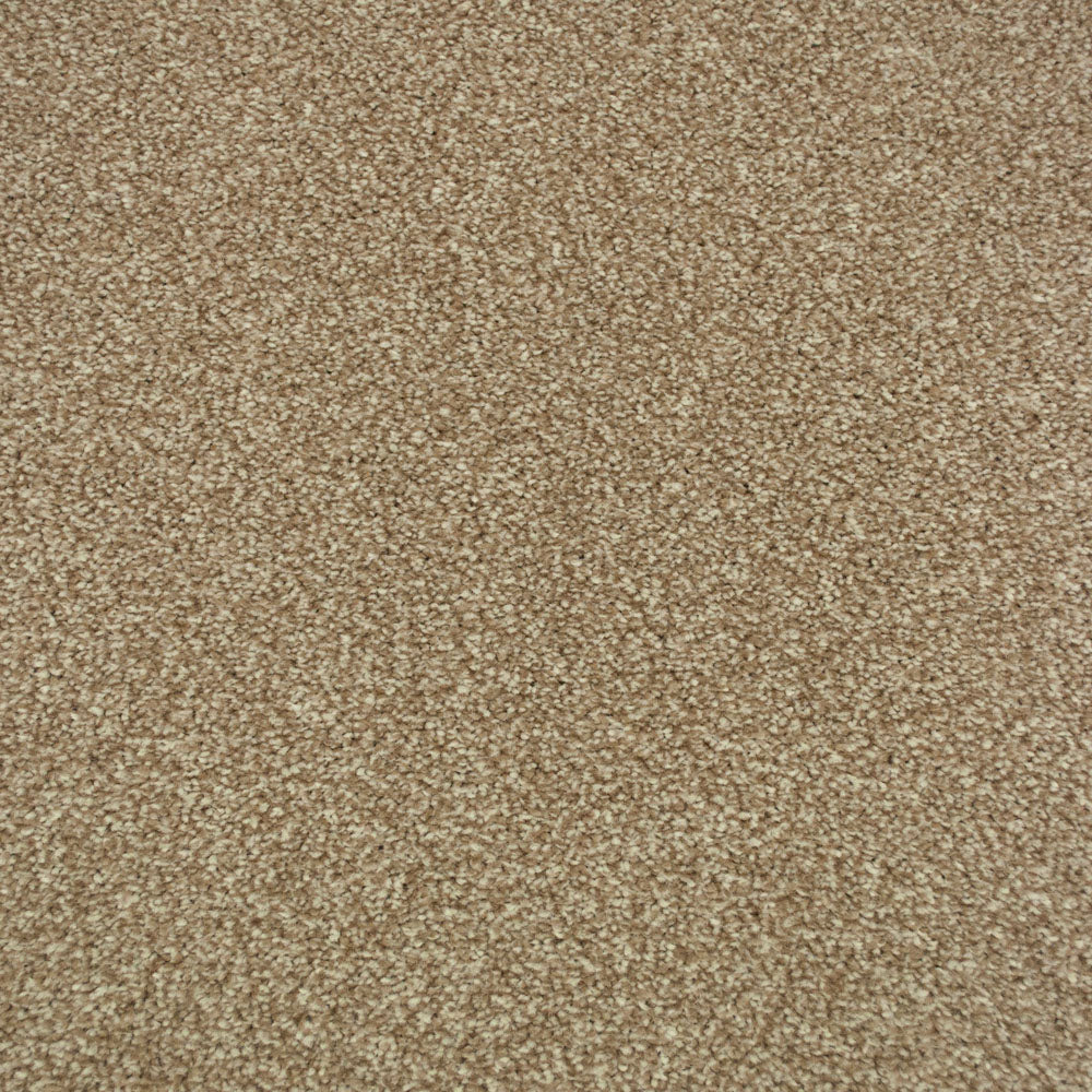 Cashmere Stainfree Majesty Carpet - Image 2