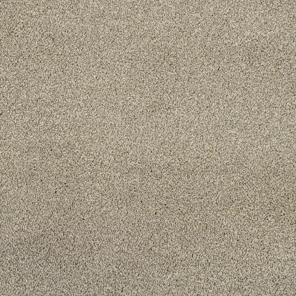 Cassius 70oz Invictus Carpet - Image 3