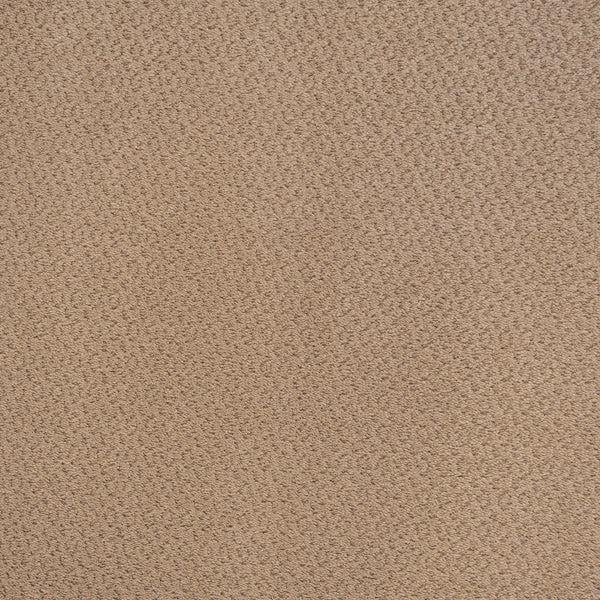 Castle Carpet - Image 3