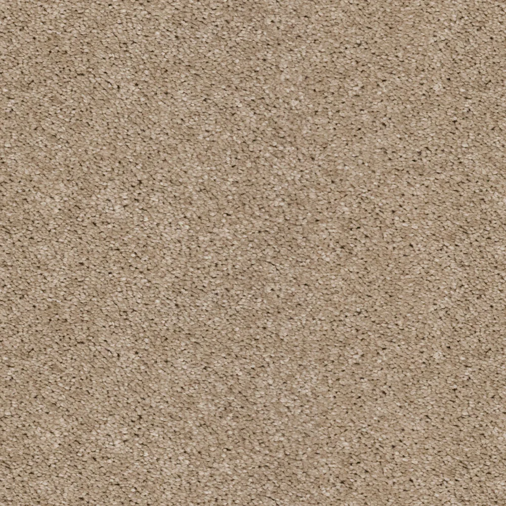 Champagne 39 Orion 50oz Invictus Carpet - Image 2