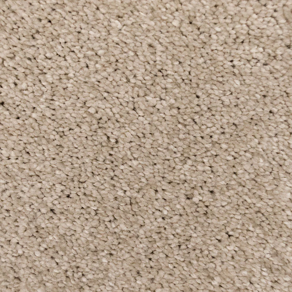 Champagne 39 Sirius 70oz Invictus Carpet - Image 3
