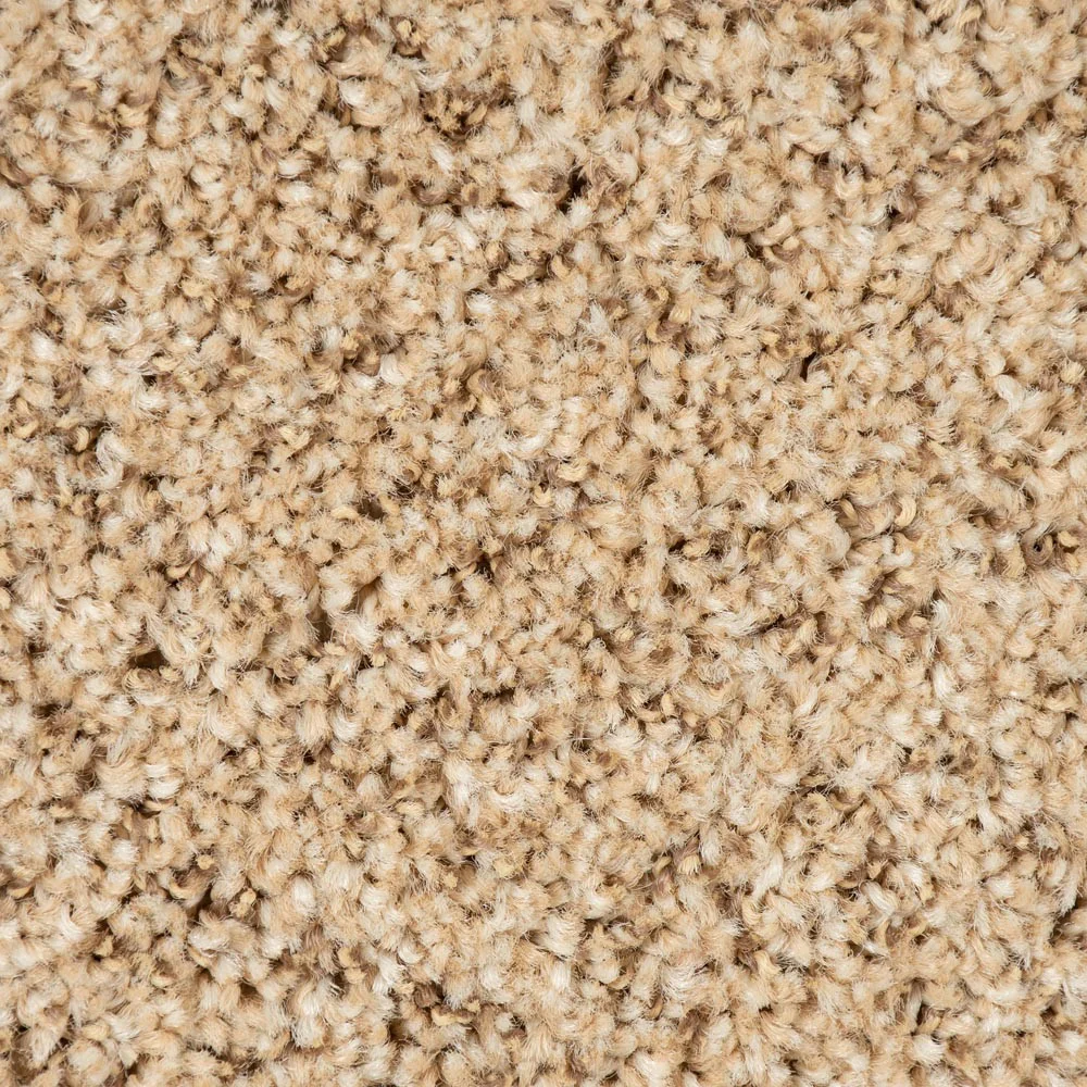 Champagne Highlife Stainfree Carpet - Image 3