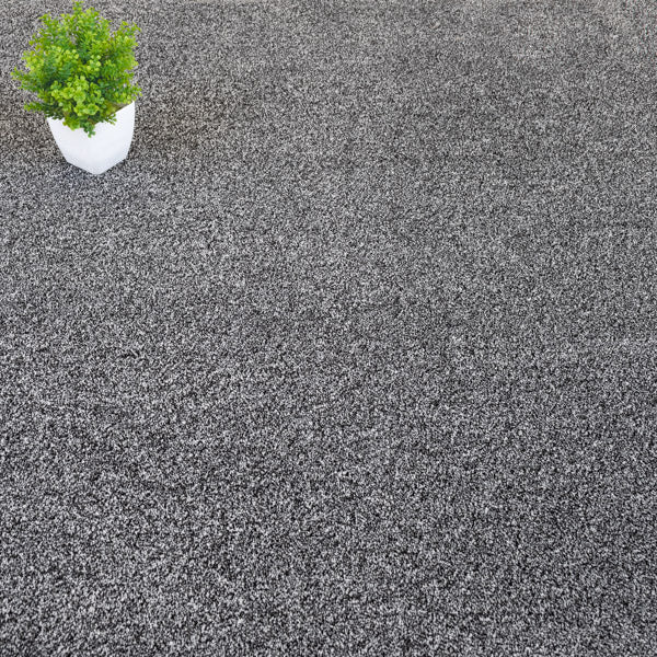 Charcoal Coast Twist Carpet Clearance