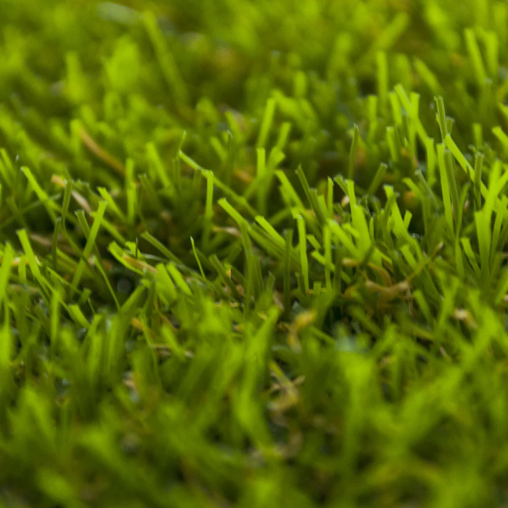 Chatsworth 32 Artificial Grass - Image 4