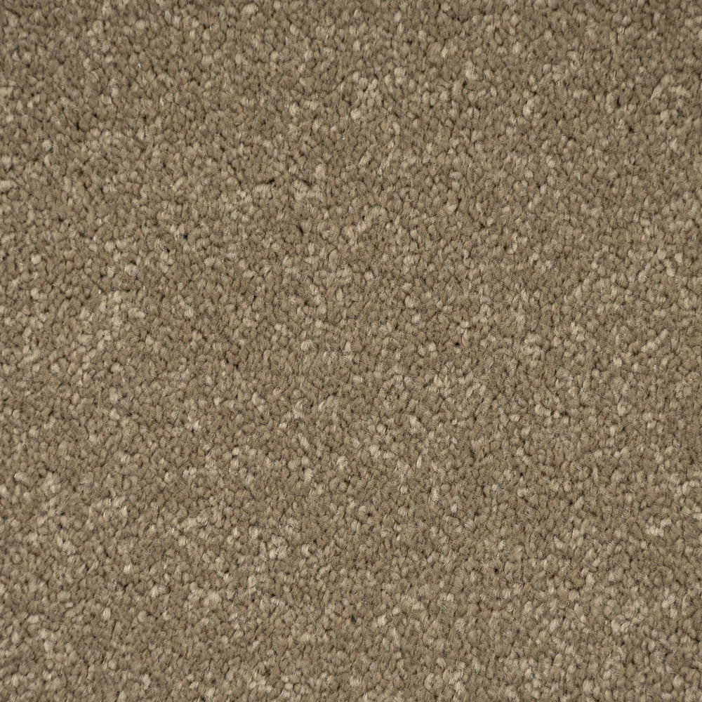 Chenille Primo Plus Carpet by Cormar - Image 3