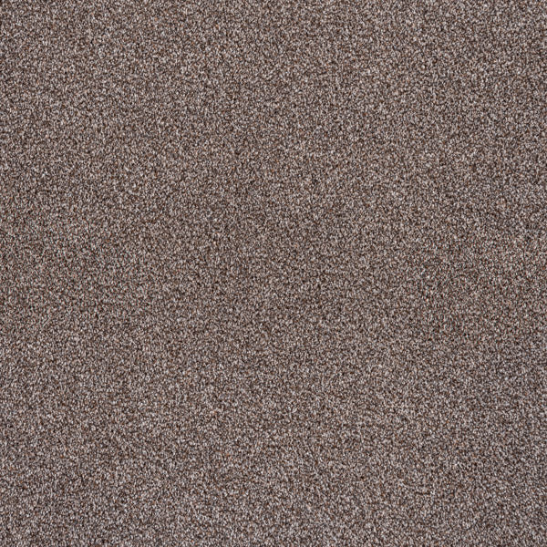 Chocolate Brown Versailles Twist Carpet - Image 2