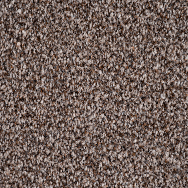 Chocolate Brown Versailles Twist Carpet - Image 3