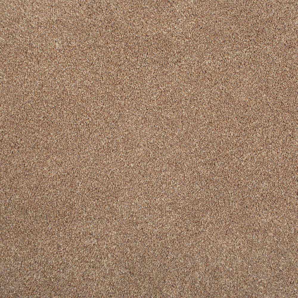 Chocolate StainFree Panache Carpet