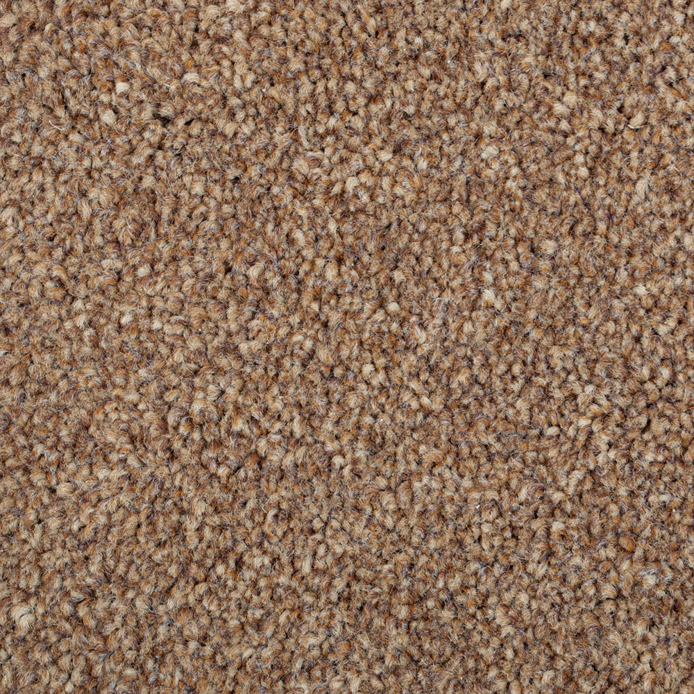 Chocolate StainFree Panache Carpet - Image 3