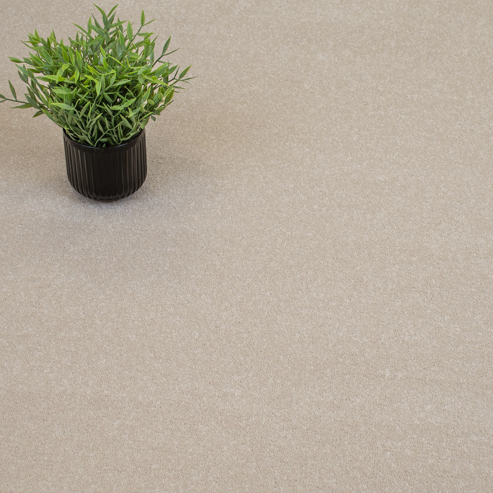 Cloudy Bay Primo Ultra Carpet by Cormar - Image 2
