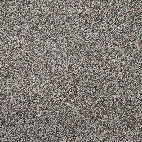 Coast Twist Carpet Clearance - Image 2