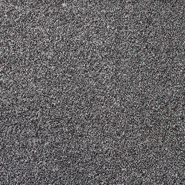 Coast Twist Carpet Clearance - Image 3