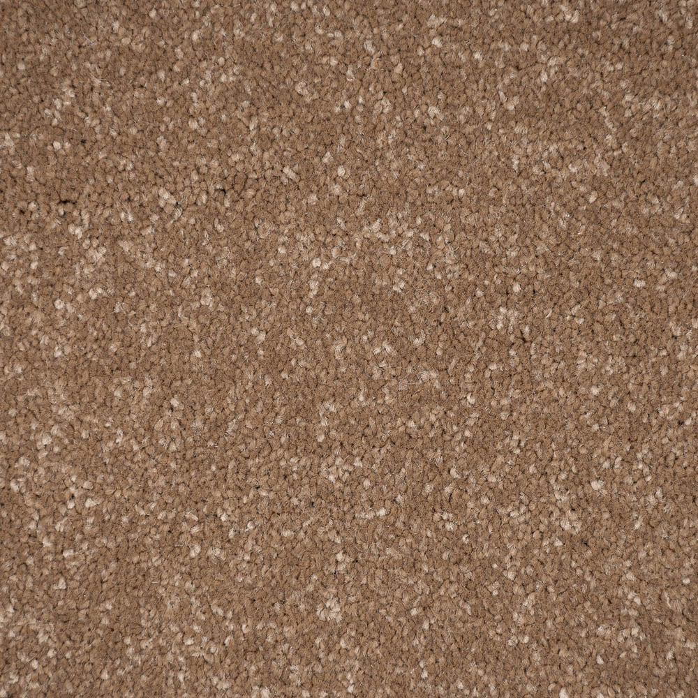 Cocoa Cream Stainfree Ultra Carpet by Abingdon - Image 3