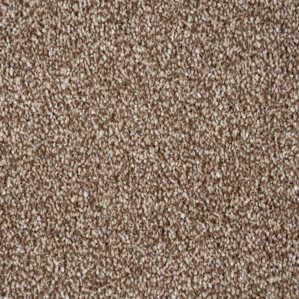 Cocoa Marseilles Twist Carpet - Image 3