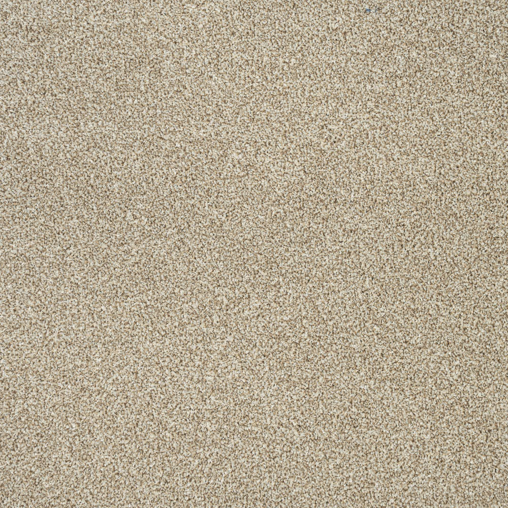 Cocoon Beige 91 StainAway Harvest Heathers Deluxe Carpet - Image 5