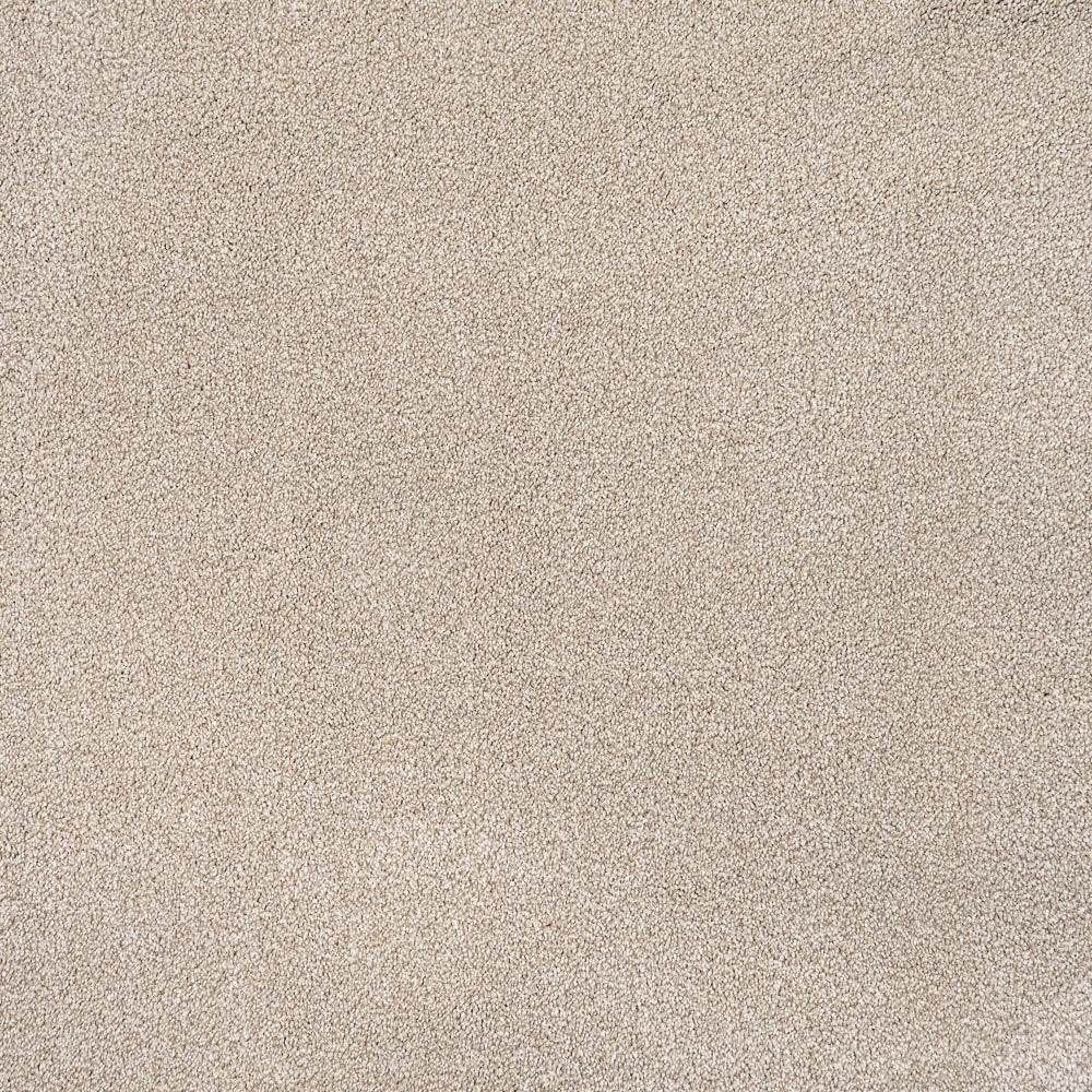 Coral White Sensation Heathers 60oz Carpet by Cormar - Image 5