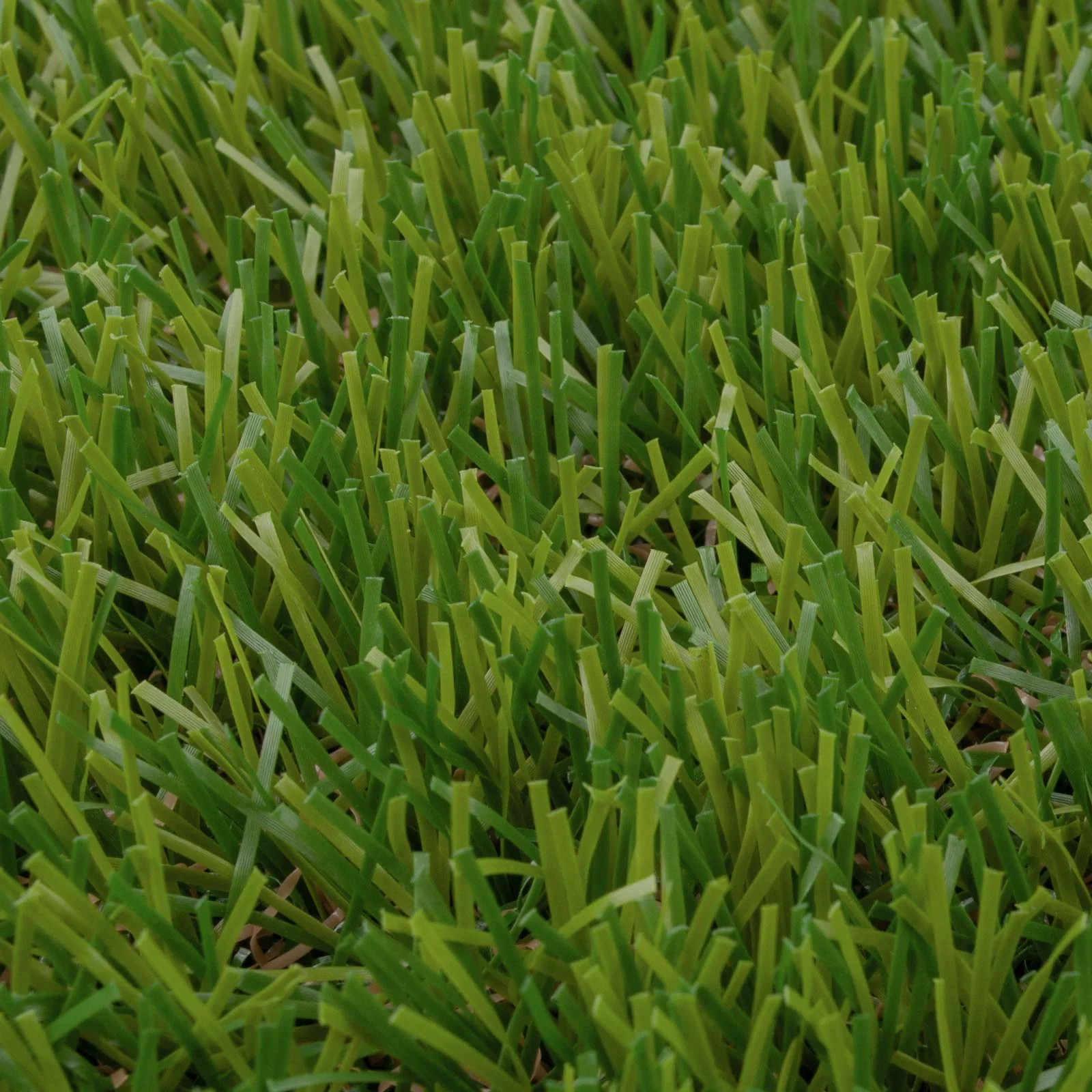 Cordova 37mm Artificial Grass - Image 4