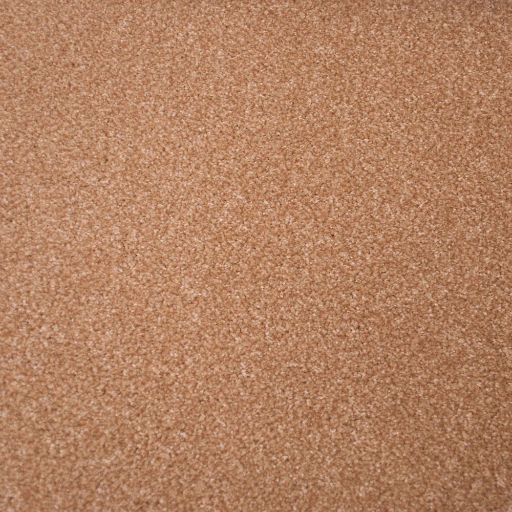 Corn Stainfree Arena Carpet - Image 2