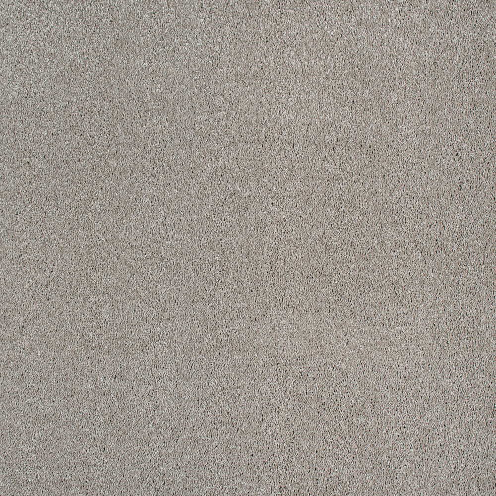 Cotswold Stone 33 Magnificus Invictus Supreme Carpet - Image 5