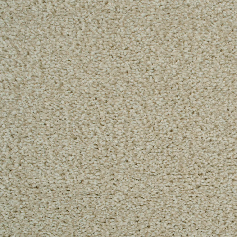 Cotton 69 Revolution Soft Heathers Intenza Carpet - Image 2