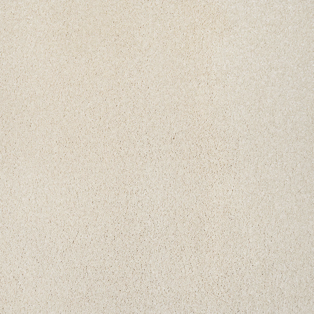 Cream 03 Magnificus Invictus Supreme Carpet - Image 2