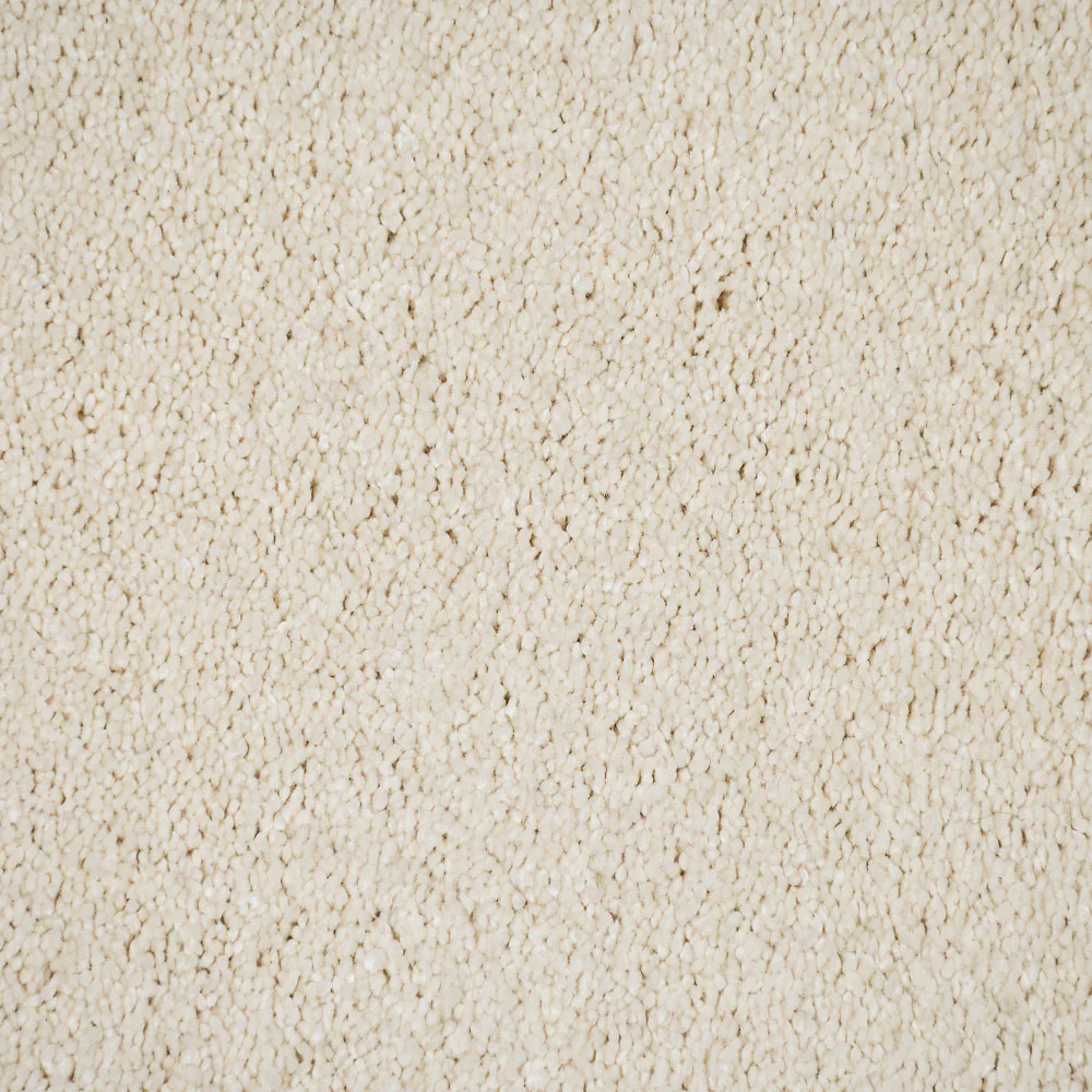 Cream 03 Magnificus Invictus Supreme Carpet - Image 3