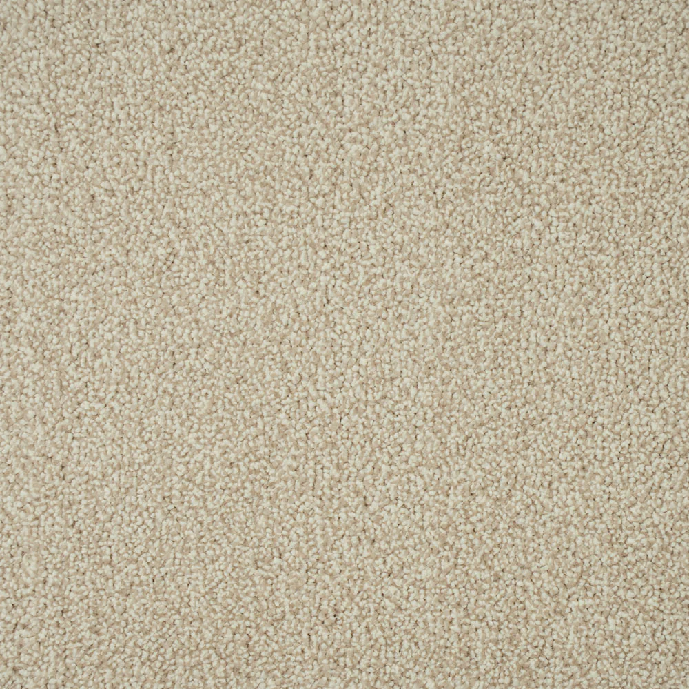 Cream Beige 69 Emotion Elite Intenza Carpet - Image 2