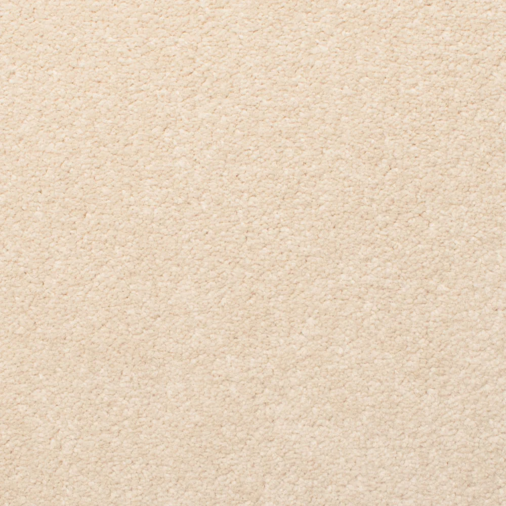 Cream 69 Revolution Carpet - Image 3