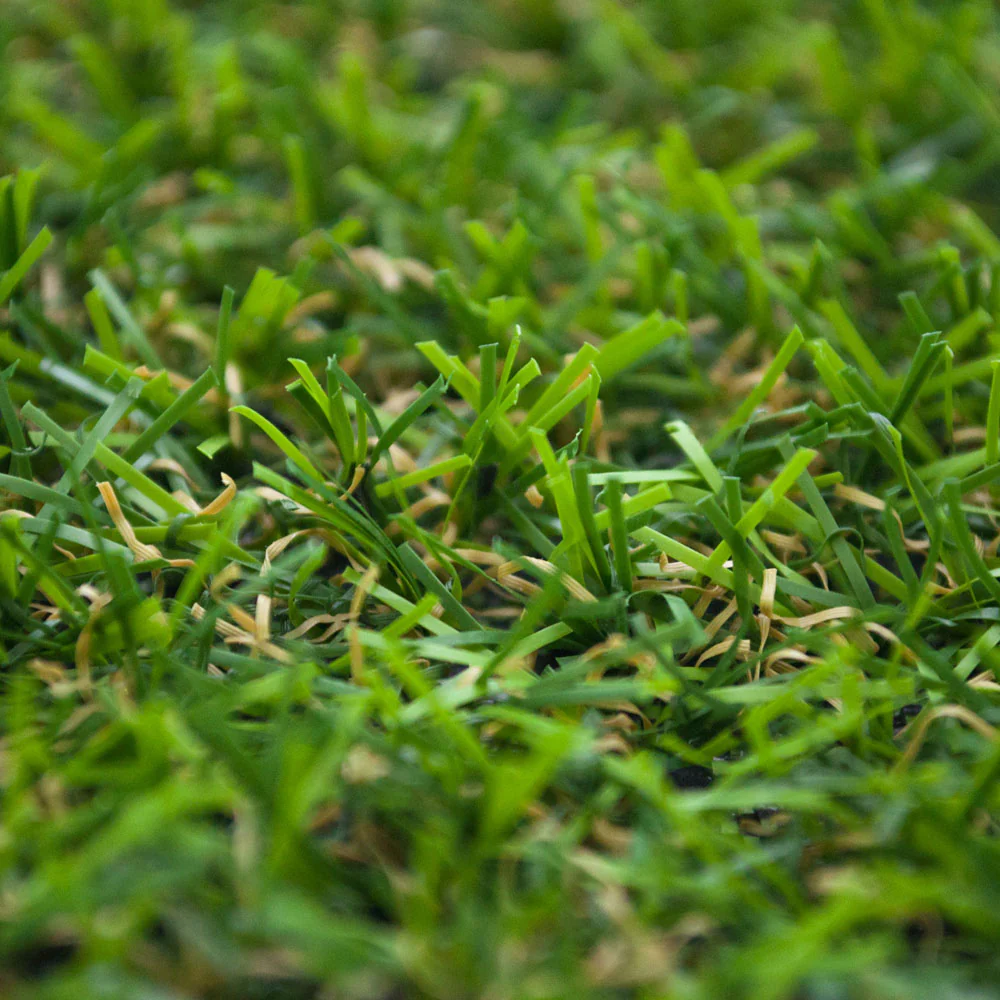 Dales 17mm Artificial Grass - Image 4