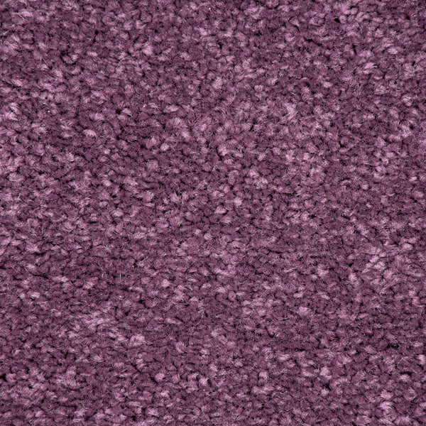 Damson Purple 115 Carousel Twist Carpet - Image 3