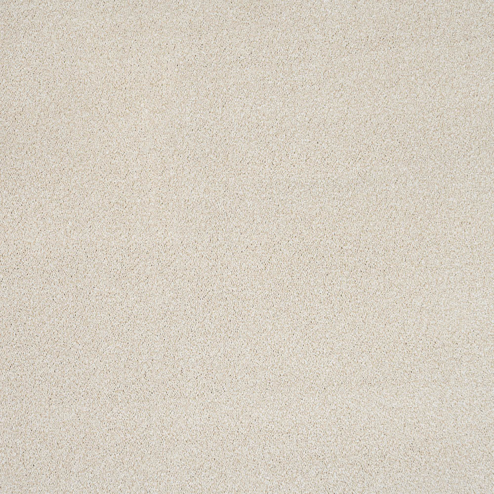 Darius 50oz Invictus Carpet - Image 3