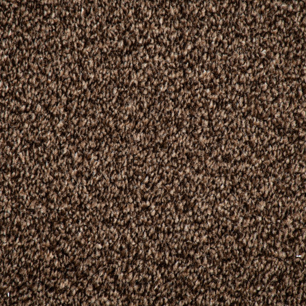 Dark Brown Catalonia Saxony Carpet - Image 3