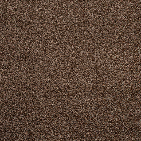 Dark Brown Catalonia Saxony Carpet - Image 5