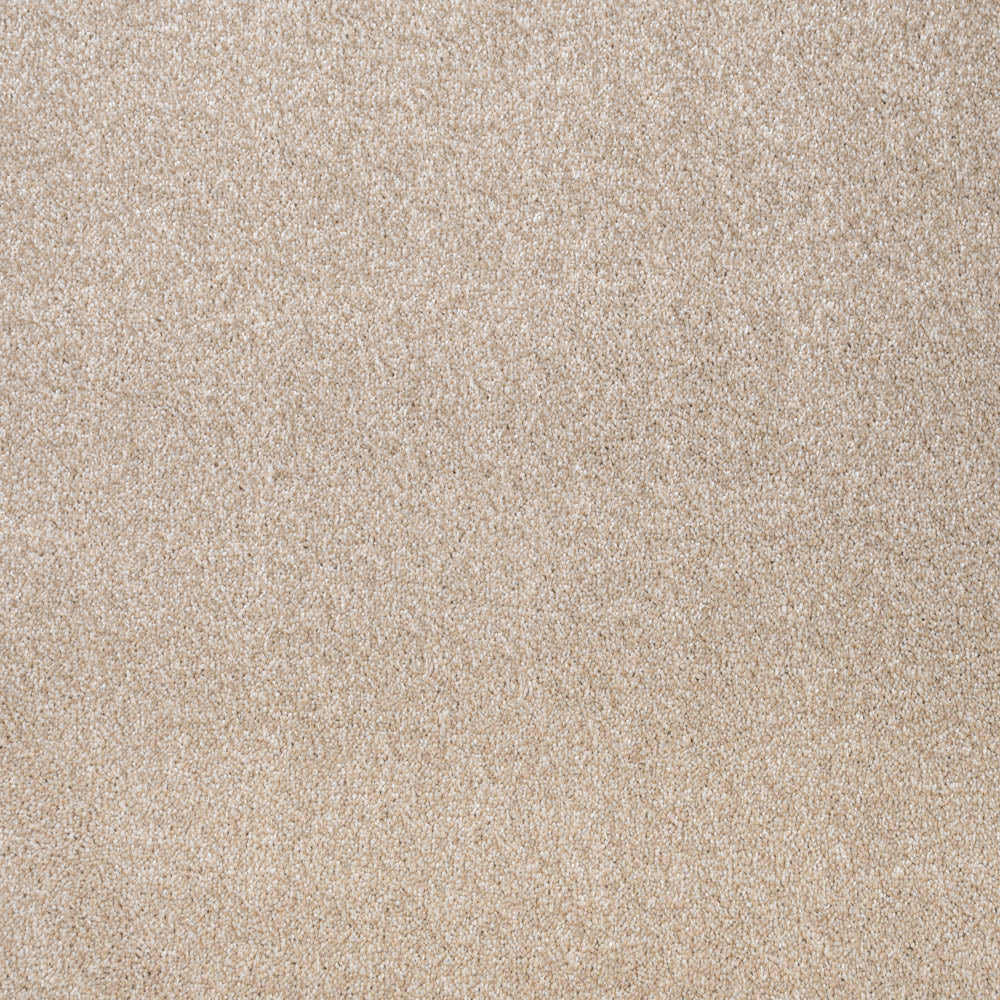 Delaware Saxony Carpet - Image 2