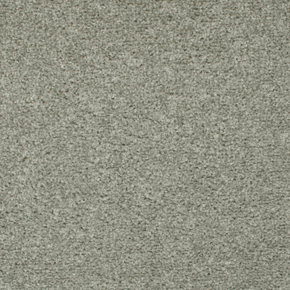 Dolphin 07 Tuftex Twist Actionback Carpet - Image 2