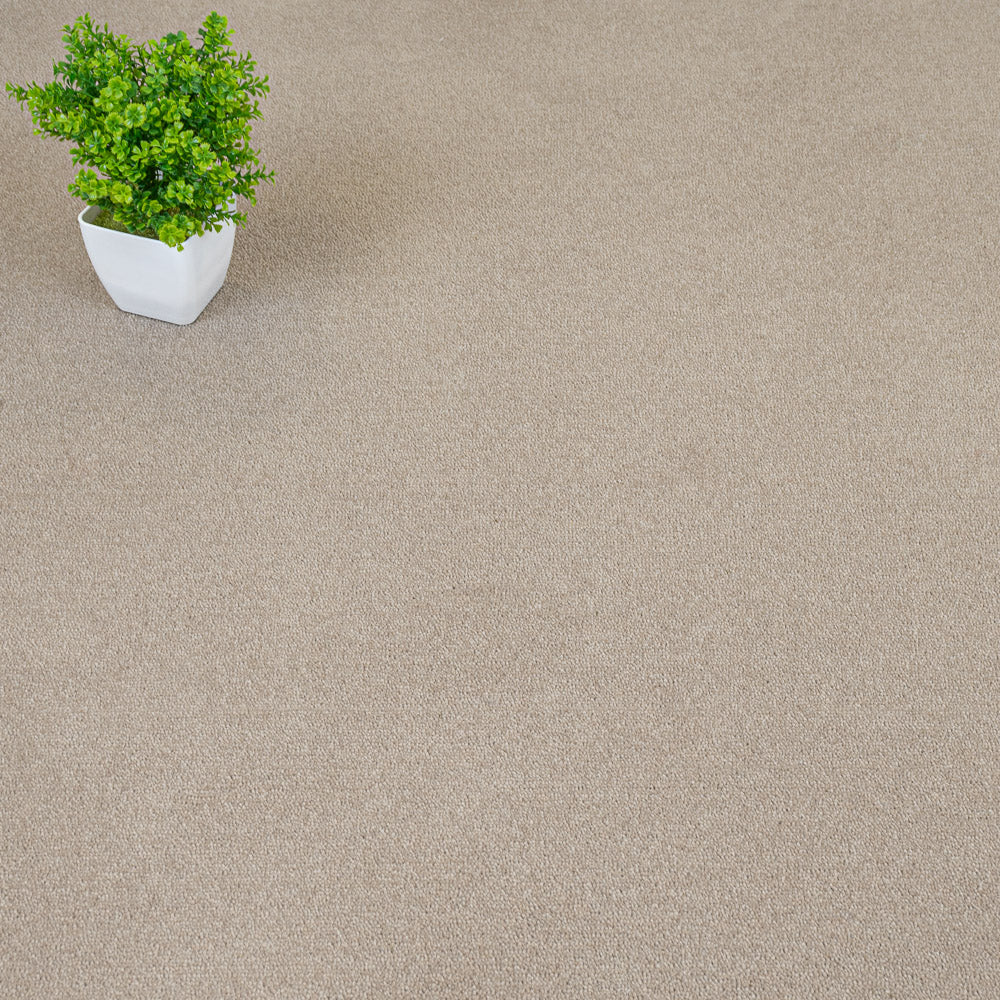Dormouse Hampstead Deluxe 50oz Carpet by Cormar