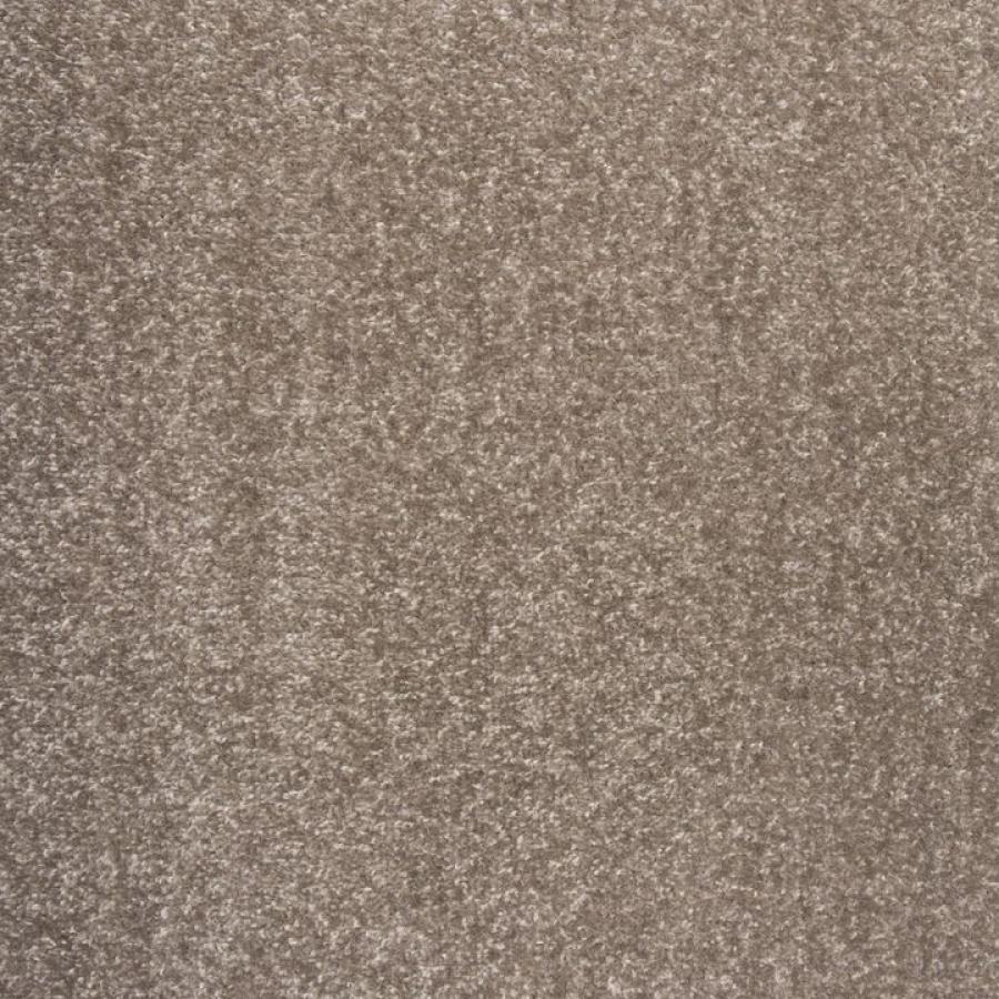 Dublin Twist Actionback Carpet Clearance - Image 3