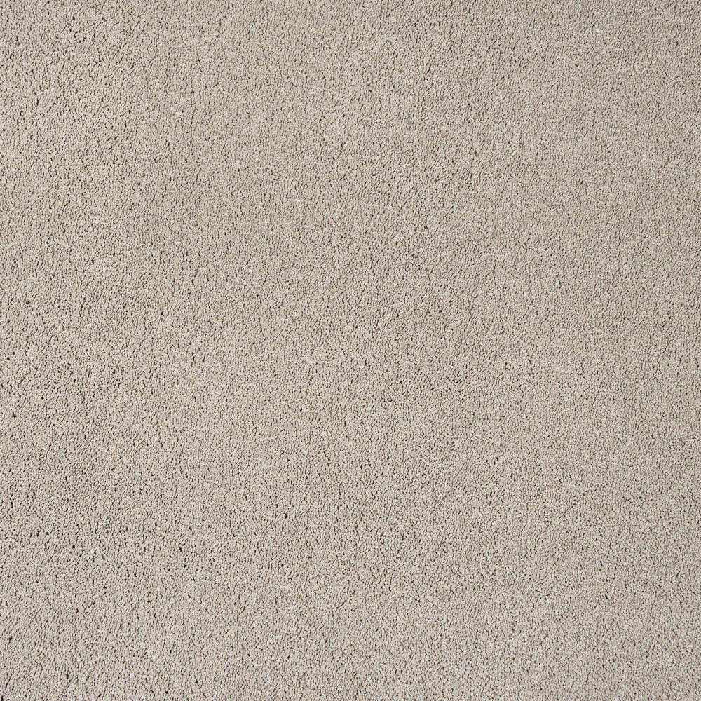 Dunham Saxony Carpet - Image 4
