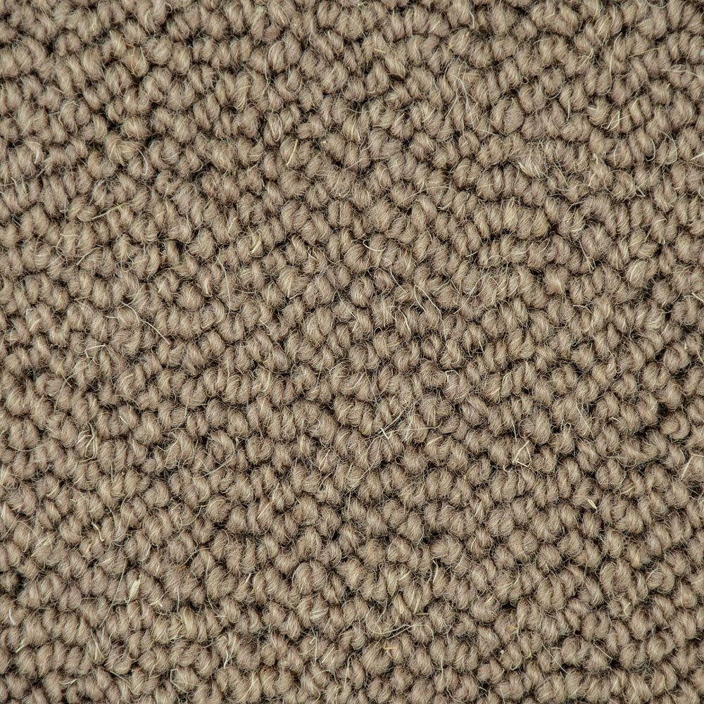Earth Brown Illinois Loop Carpet - Image 3